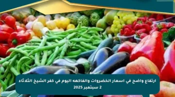 ارتفاع واضح في أسعار الخضروات والفاكهة اليوم في كفر الشيخ الثلاثاء 2 سبتمبر 2025